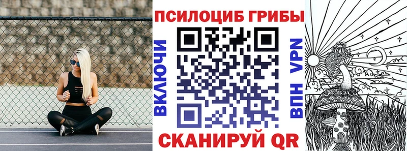 дарк нет телеграм Туймазы Псилоцибиновые грибы Psilocybe
